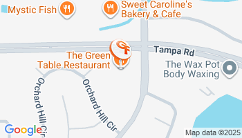 Palm Harbor, FL Auto Insurance Agency